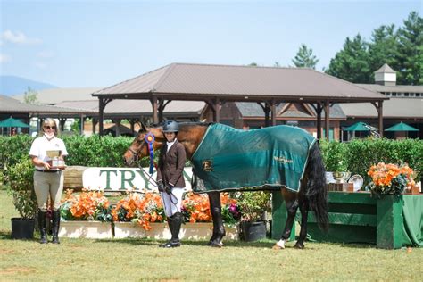 Tryon equestrian - Tryon International Equestrian Center is hosting the FEI World Equestrian Games™ in September 2018 which will attract 500,000 attendees over 13 days from 70 countries and 50 states. USPC is aggressively constructing multiple hotels to accommodate lodging needs for the global event. In addition to servicing …